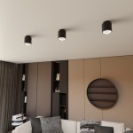 Czarny spot  na sufit  MONO 51310/1
